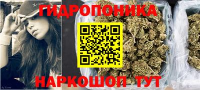 индика Краснодар