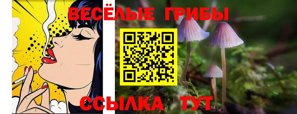 Галлюциногенные грибы Cubensis Калуга